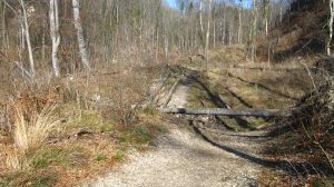 Der Weg durch den Anfang der Pähler Schlucht ist noch recht breit. Nur einzelne Baumstämme müssen überweunden werden.
