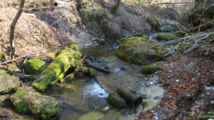 Schwieriger Weg durch die Pähler Schlucht