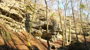 Tuffsteinhänge in der Pähler Schlucht