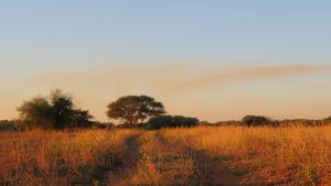 Sonnenuntergang auf einer Farm nördlich von Gaborone, Botsuana